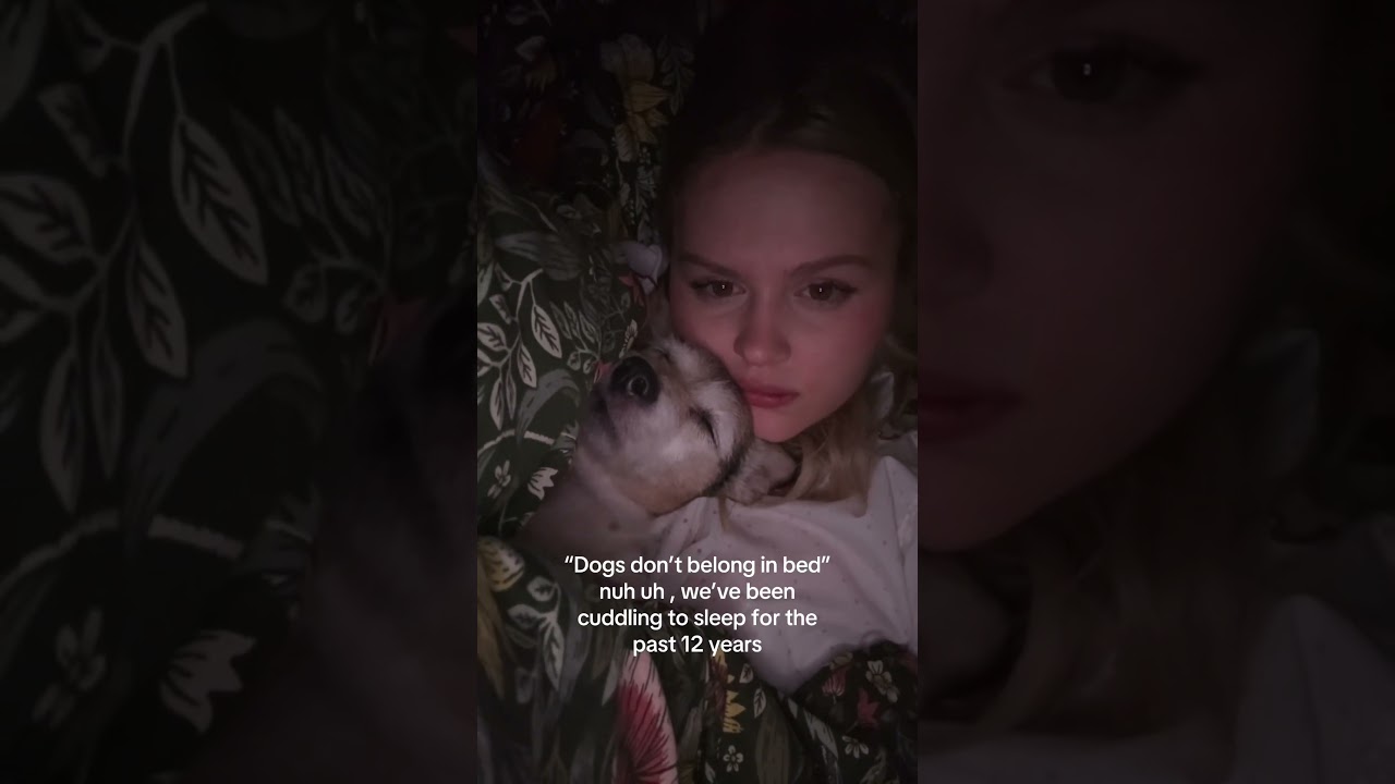 “Dogs don’t belong in bed”