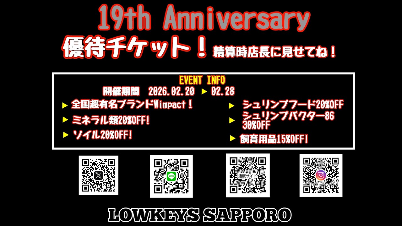 【えび掬い放題水槽えび補充】＃周年祭＃ローキーズ札幌