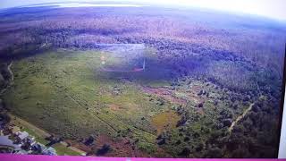 BIGFOOT SIGHTING FLA. SKUNK APE