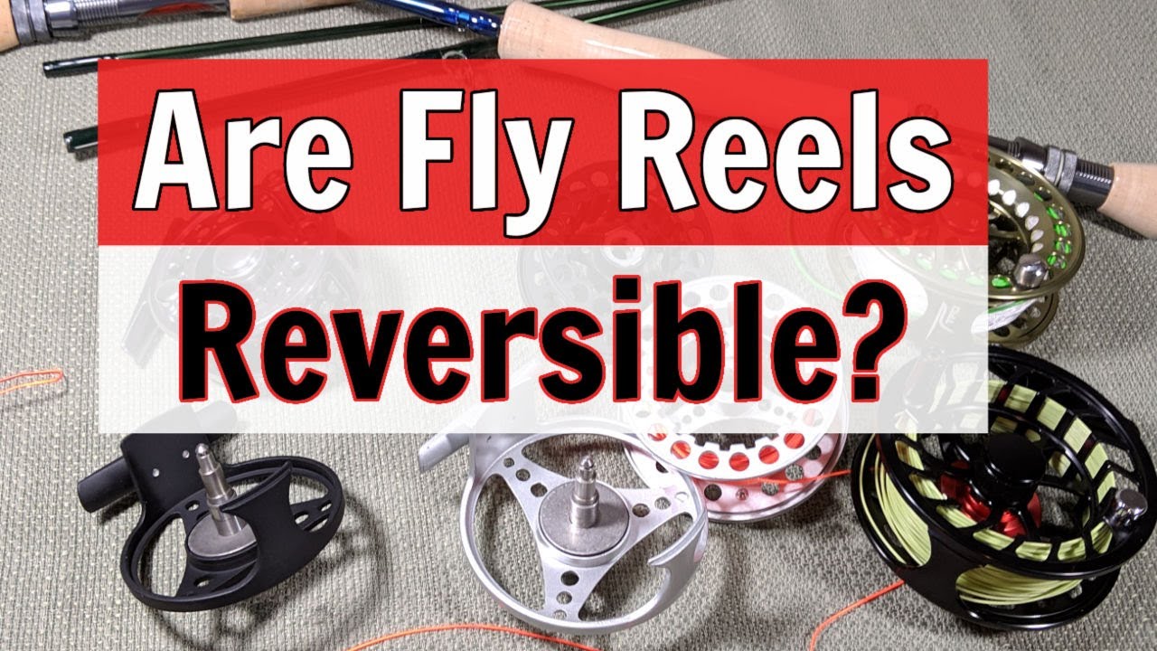 Are Fly Fishing Reels Reversible (Learn How!) 