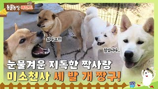 [TV 동물농장 레전드] 눈물겨운 지독한 짝사랑  미소천사 세 발 개 짱구 I TV동물농장 (Animal Farm) | SBS Story