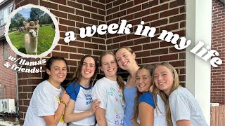 A WEEK IN MY LIFE: end of school year fun, friends, & llamas