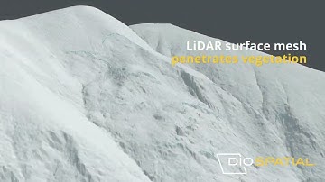 LiDAR Survey and Modelling for Geotechnical Assessment of Landslip