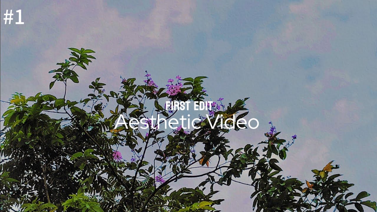 My First Edited Video | Aesthetic Video 📷  |