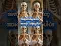 ဘာသာွေဘယ်လိုပဲကွဲကွဲ #burmesemythology #movie #believeinkarma #karma #motivation #mahayanabuddhism