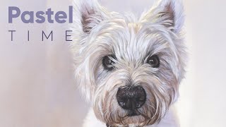 West Highland Terrier in Soft Pastel - Timelapse