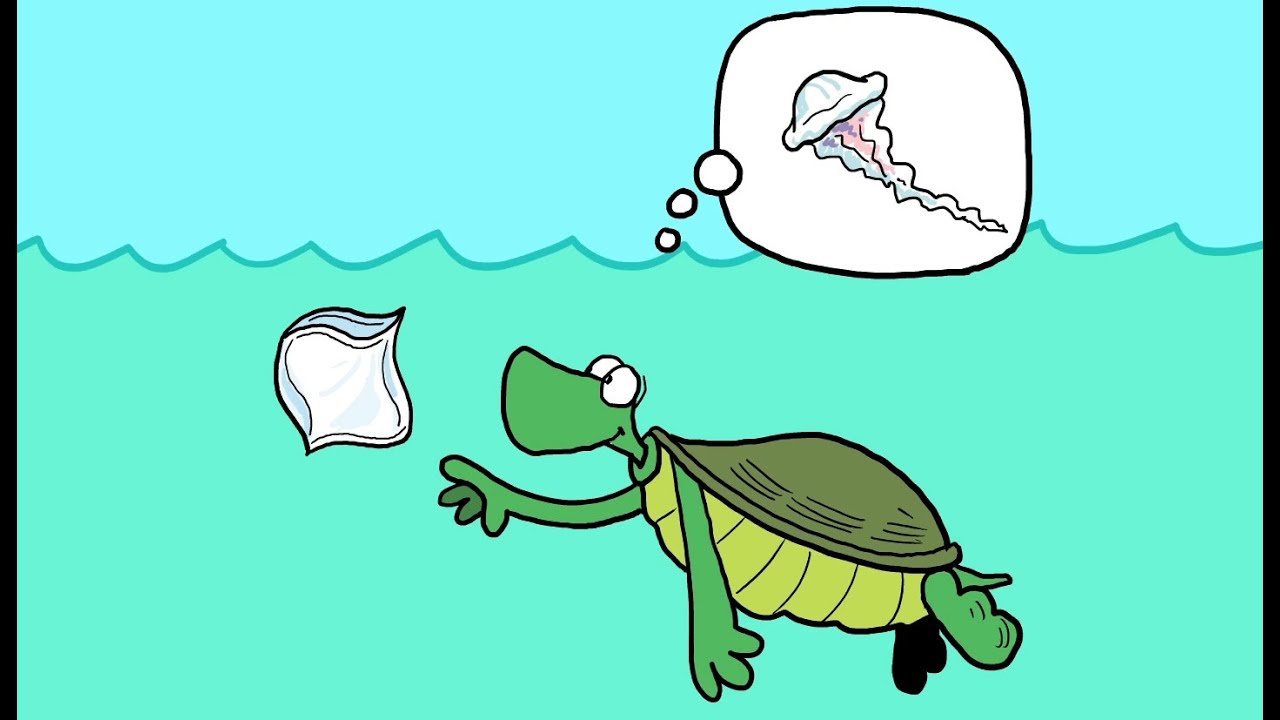 What Is Marine Debris? | A Cartoon Crash Course - YouTube