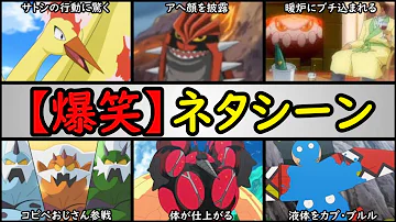 面白いポケモン Mp3