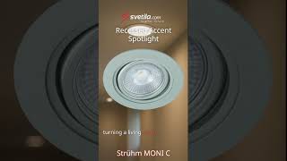 Video - LED spotlight MONI C 5W WW silver