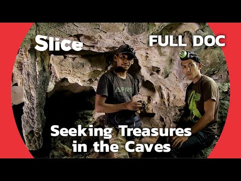 The Swallow Nest Hunters of Borneo
