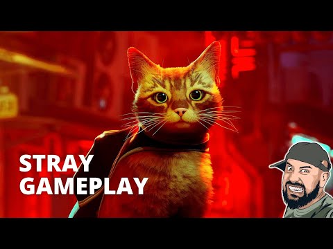 Playing Stray for the first time #stray #gameplay #gaming