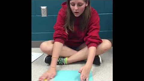 Integer Chip Nichole Abbott (5 2017)