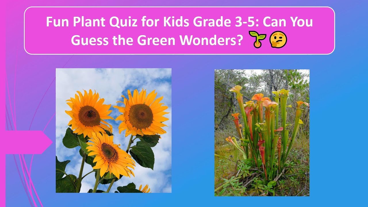 Unleash Plant Knowledge: MCQ Answers for Class 3-5! - YouTube