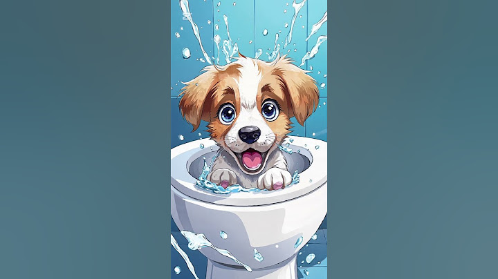 Cute Puppy Accidentally Drops Phone in Toilet – Hilarious Moment😂😰 #CutePuppy#FunnyPuppy#petfails