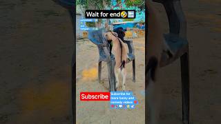 Goatsviral funny shorts