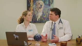 Why does my cat keep going in and out of the litter box?