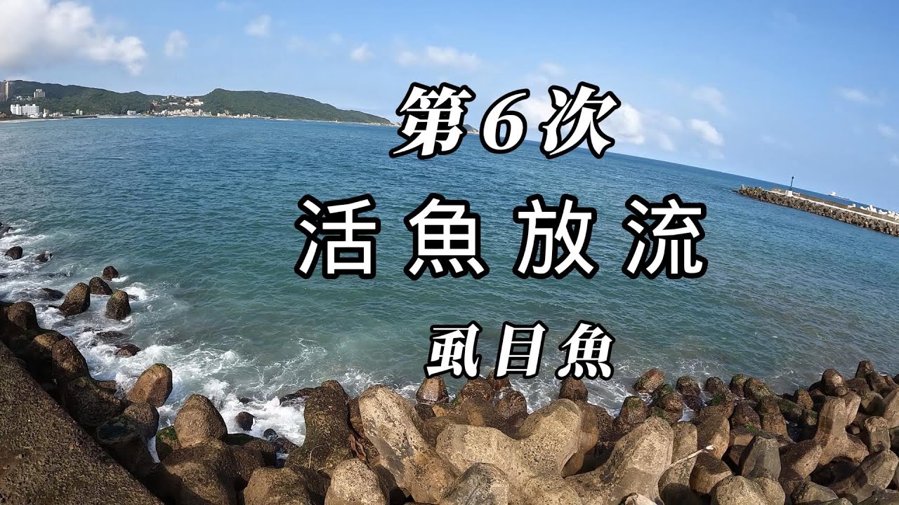釣魚。磯釣。岸拋。活魚放流。牛車輪。重裝備。(第6天)
