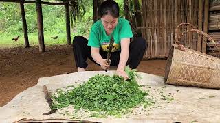 Full video : The life of a young couple building a life in a rustic bamboo house - my daily life