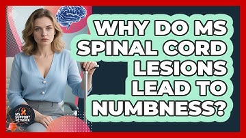 Why Do MS Spinal Cord Lesions Lead To Numbness? - MS Support Network