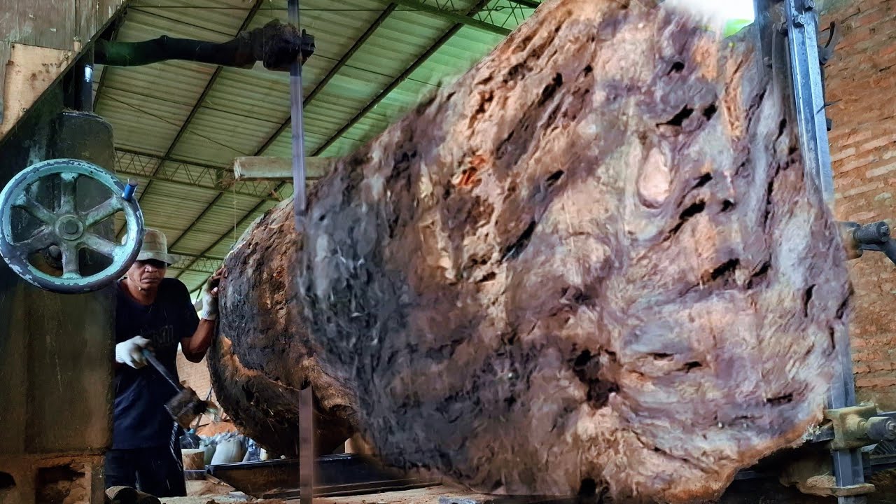 the beauty behind the fibrous black wood is extraordinary