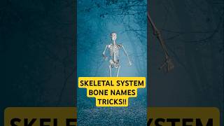 Memorize bones🦴💀 name in 30 Seconds | Locomotion & Movement | Skeletal System NCERT NEET Biology