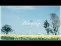 [.que] - Bloomy (Official Audio)