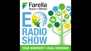 138: AI Risks and Realities for Nonprofits: Traps for the Unwary and Tips for Avoiding Them