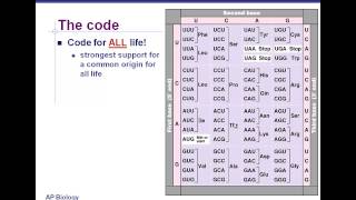 Celebrity Translation - Cracking the Code Wealth