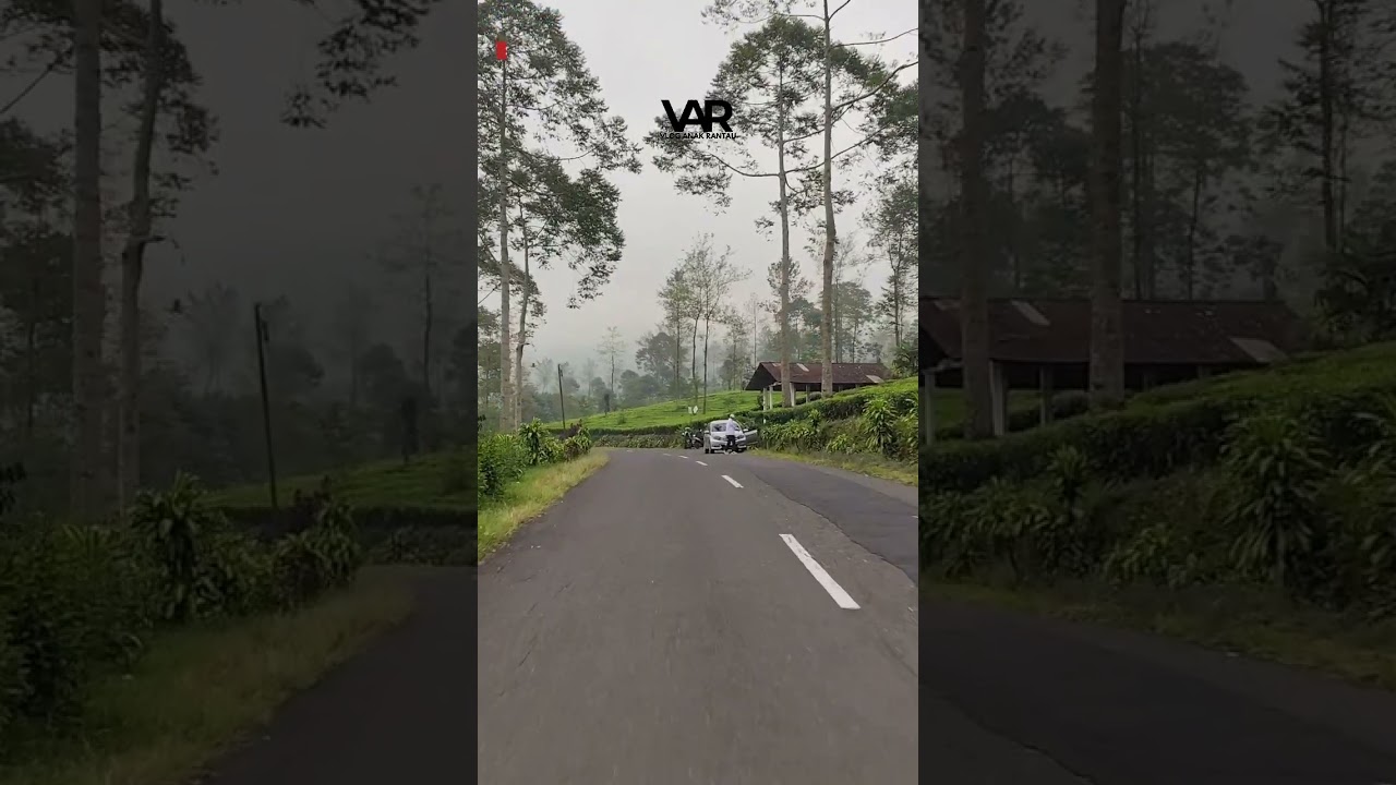 LAGU MINANG PALING POPULER 2025 