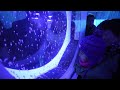 Sea angels - The Japan News