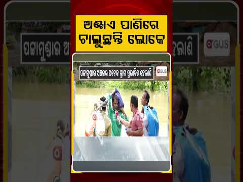 ଅଣ୍ଟାଏ ପାଣିରେ ଚାଲୁଛନ୍ତି ଲୋକେ | Kendrapara Flood : Pattamundai Villages Cut Off | Argus News
