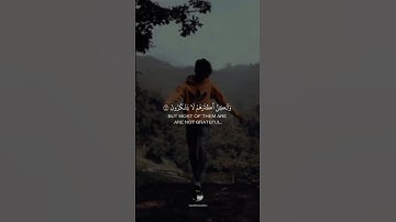 وان ربك لذو فضل على الناس القارئ احمد خضر