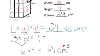 Module 5 Lesson 4&5