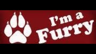 Nordic Fuzz Con 2023 - Bildspel! =^.^=
NFC har varit inställt i två år pga Covid 19, men i Februari hade vi NFC igen på Clayron Hotell i Malmö. Det var mycket givande och kändes bra, kul att träffa både gamla furryvänner och nya.
Rävar, Sergaler, Vargar, Drakar med flera.
Gjorde också fynd på Dealers Den även om min engelska inte är perfekt så var skaparna förstående och jag fick hjälp med att hitta och köpa det jag önskade.
Musiken är gratis musik som man får ladda ner och använda.
Fick dock ladda ner en ny videoredigerare som är avsedd för Windows 10. Den jag hade som min Mor hjälpte mig att köpa och ladda ner när Mor var i livet så hade licensen gått ut och jag kunde inte ladda upp den. Blev rätt ledsen ja men idag verkar det som jag lyckas med den nya för Windows 10. Nordic Fuzz Con 2023 - Bildspel! =^.^=