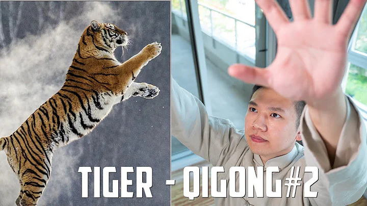 Five Animals Qi Gong - Tiger Form #2 - DayDayNews