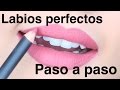 Labios perfectos PASO A PASO para PRINCIPIANTES