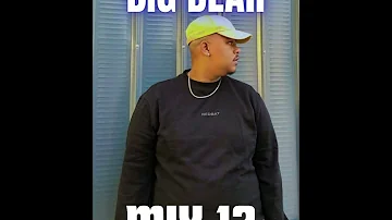 DJ BIG BEAR FEVER 2024