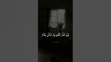 {فَلَا تَعْجَلْ عَلَيْهِمْ ۖ إِنَّمَا نَعُدُّ لَهُمْ عَدًّا}.....القارئ طارق محمد♥️🕊