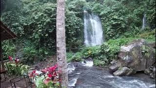 TRAVEL: Jagir Waterfall, Banyuwangi INDONESIA 🇮🇩