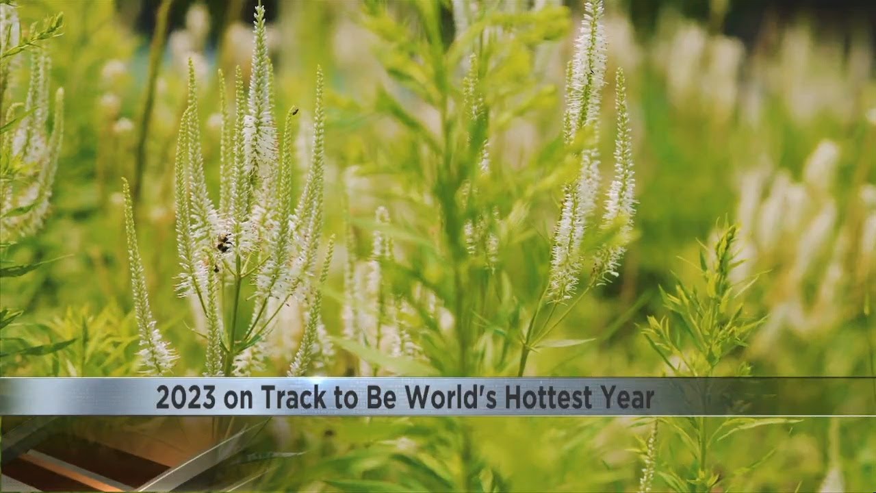 2023 on track to be hottest year on record globally