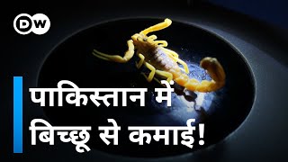 लाखों डॉलर के बिच्छू [The Yellow Scorpions of Pakistan]