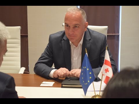 შოთა რეხვიაშვილი კომპანია GWP-ის ხელმძღვანელ პირებს შეხვდა