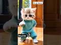 Cute cat dan #shorts #shortvideo #trendingshorts