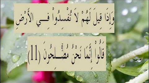 القران الكريم سورة البقرة الاية 11