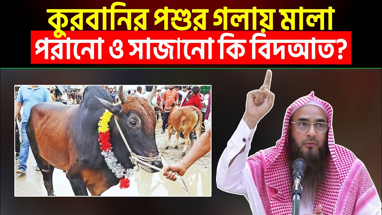 কুরবানির পশুর গলায় মালা পরানো ও সাজানো কি বিদআত? শায়খ মতিউর রহমান মাদানী