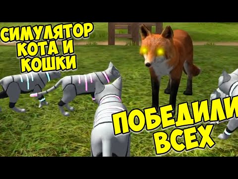 Видео: 😻Симулятор КОТА и КОШКИ🐾Победа над боссом🐾 cat sim (кат сим)