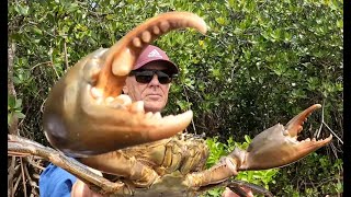 Checking Mud Crab Pots Catch, Tie, Cook - Australia