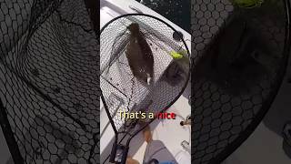 I Got Schooled Flounder Fishing!