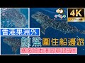 #275 【4K橫屏】香港果洲外遇鯨鯊 現本港水域 | 香港釣魚 | 艇釣 | 果洲外