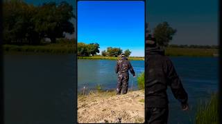 Рыбалка 2025. АСТРАХАНЬ! #fishing #рыбалка #астраханскаярыбалка #carp #рыбалканафидер #подпишись